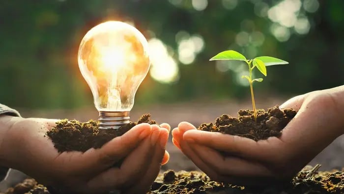 ideas and growth