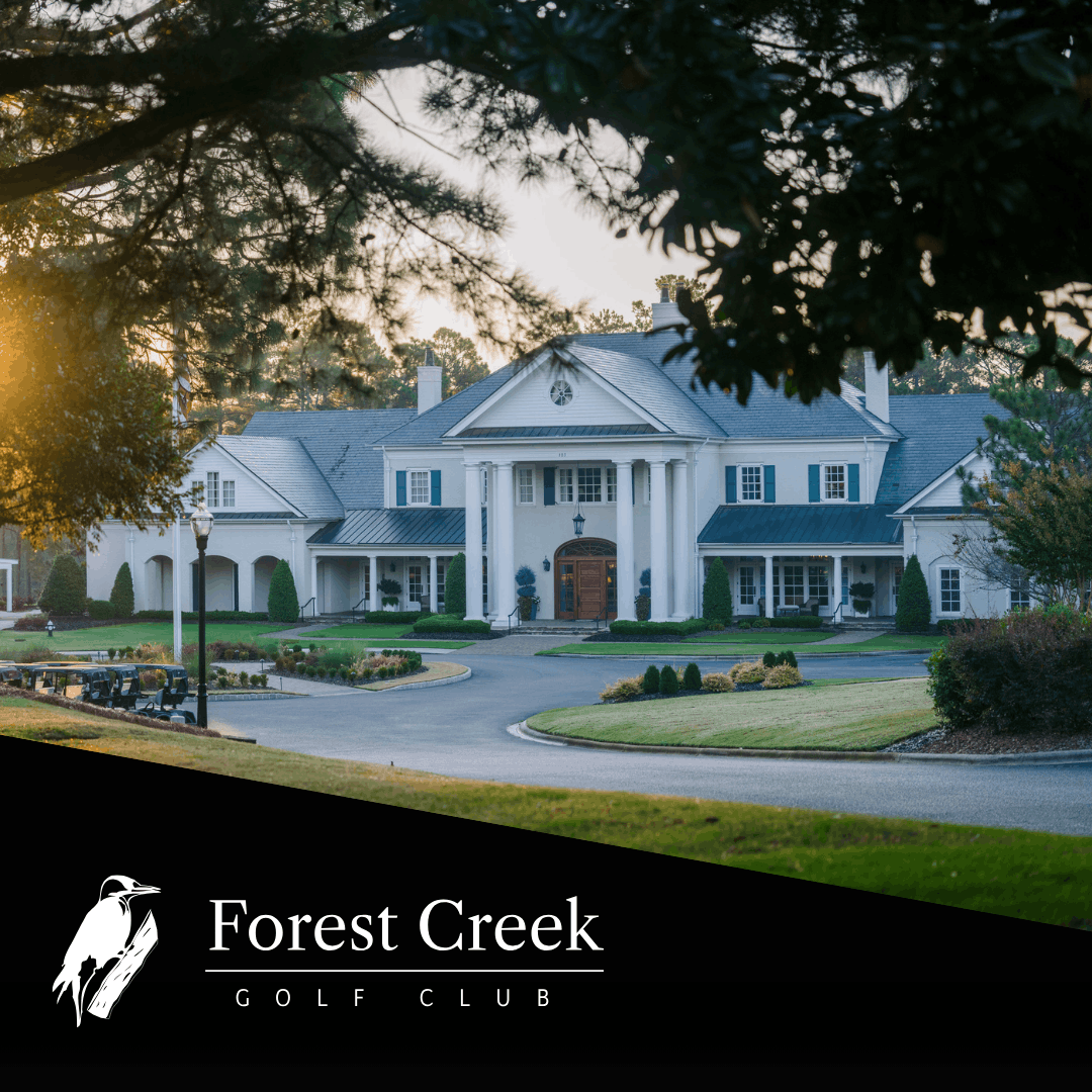 Forest Creek-- case study graphic