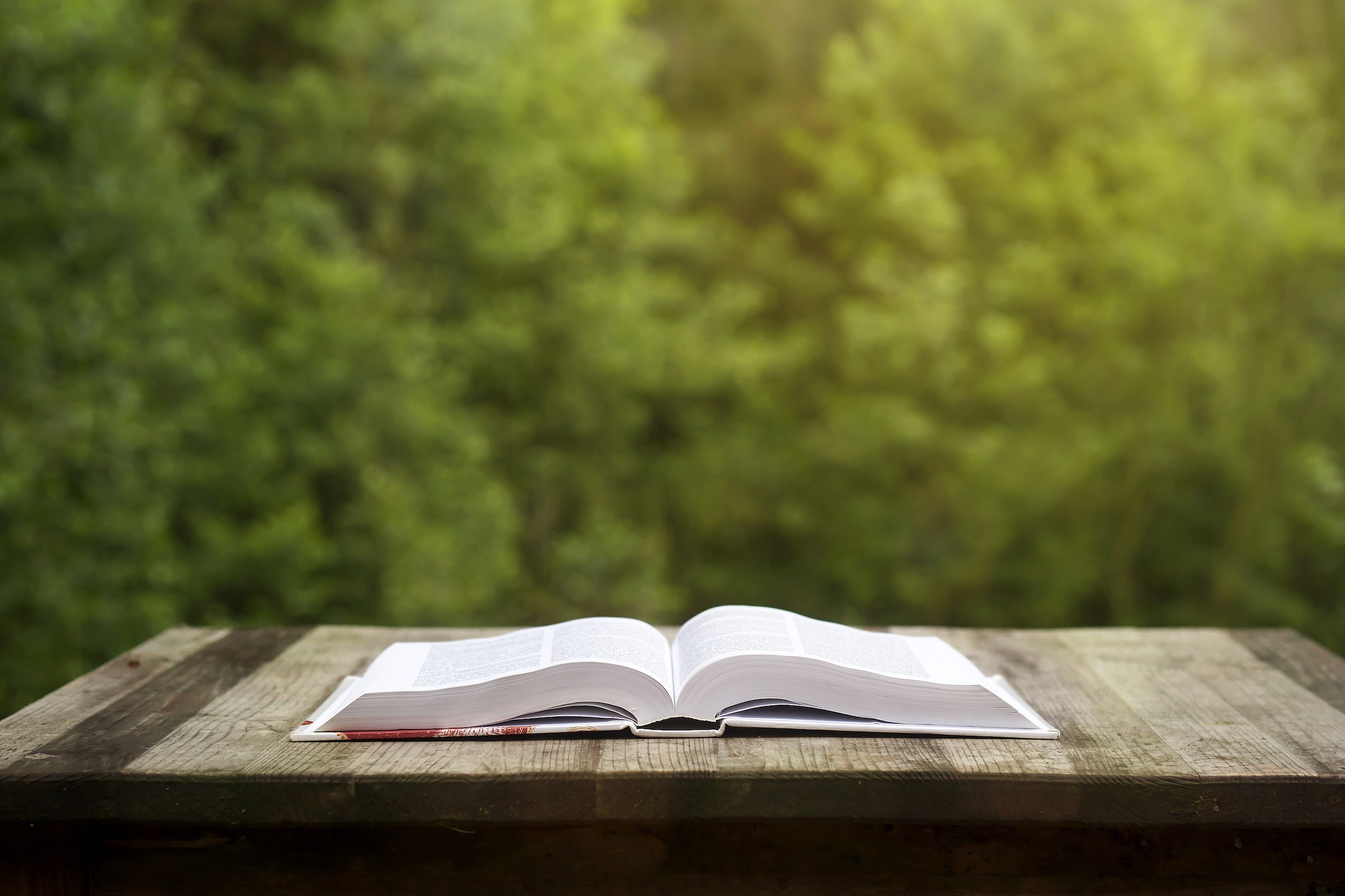Storytelling for Clubs: How to Share Your Club's Undiscovered Stories